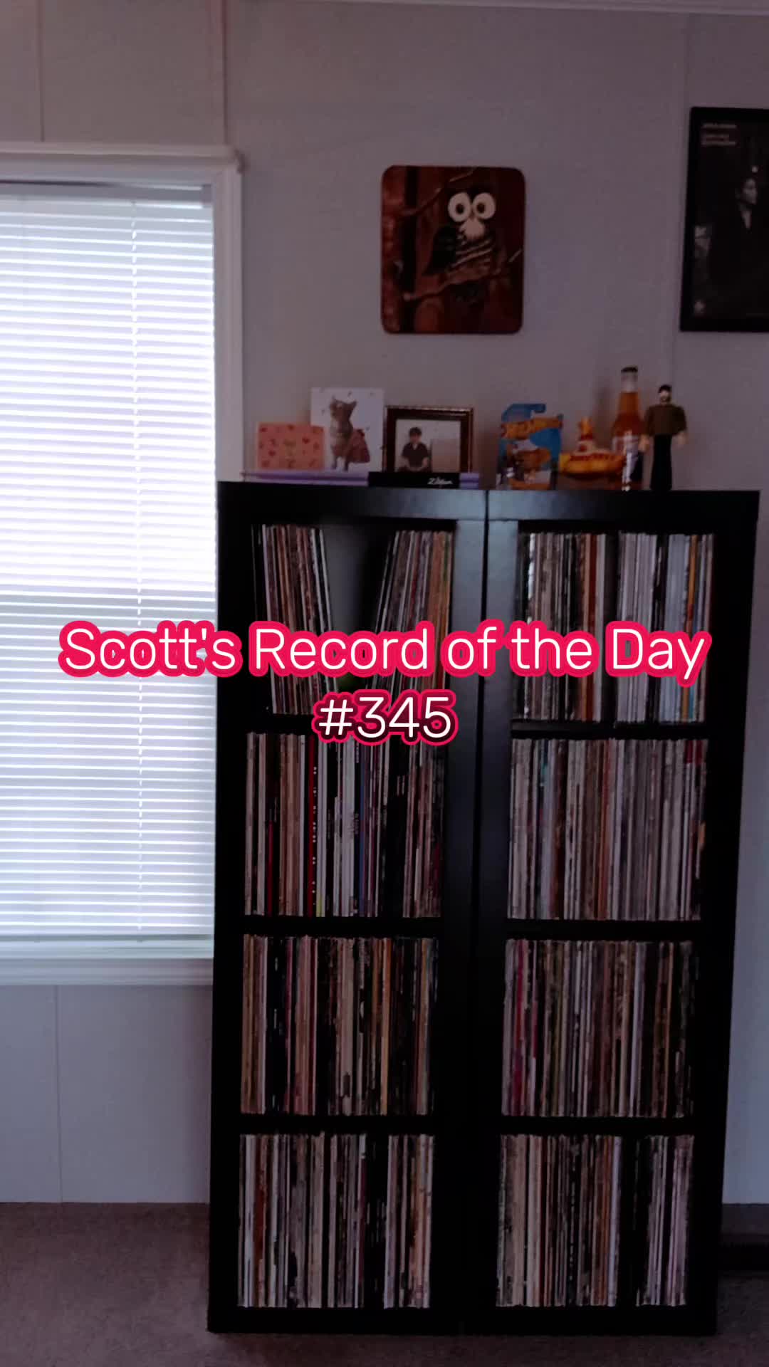 @Scott Reed ❌️