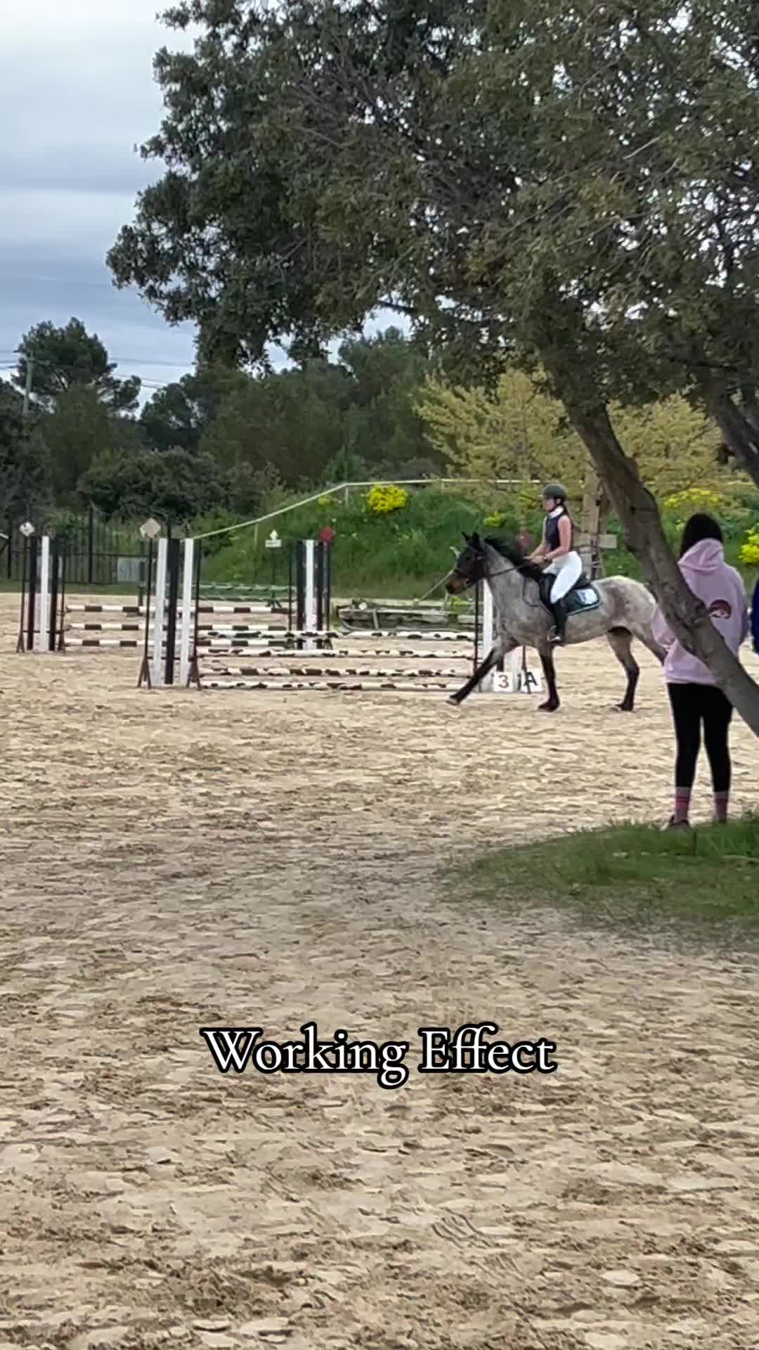 @AhlFa
