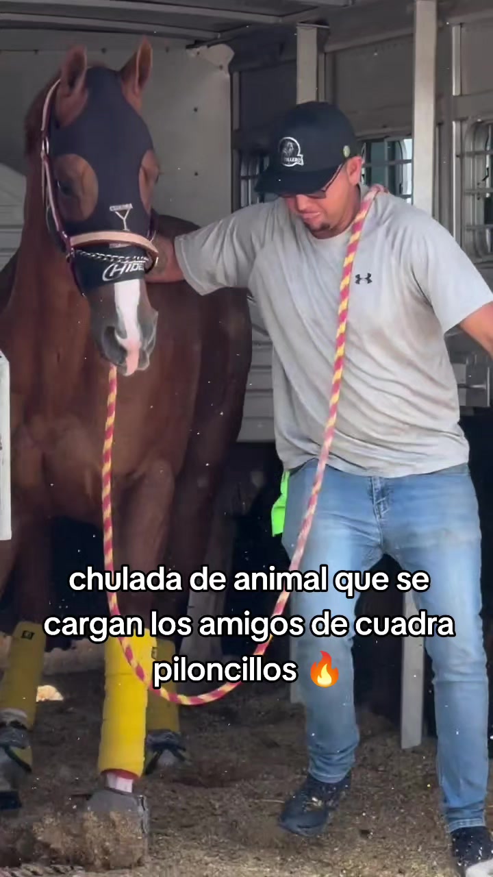 @carriles altos de jalisco🐎