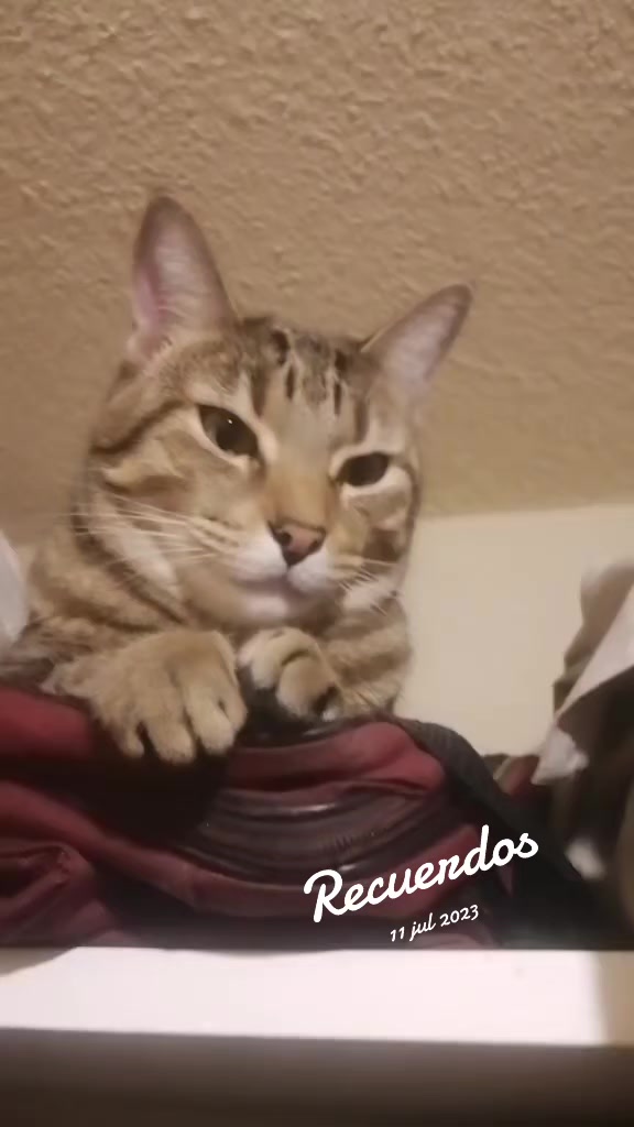 @Maribel Milla