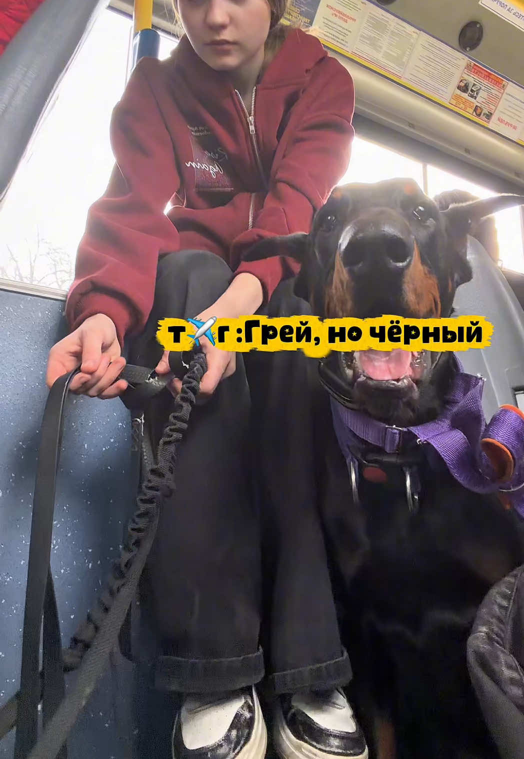 @Грей, но чёрный
