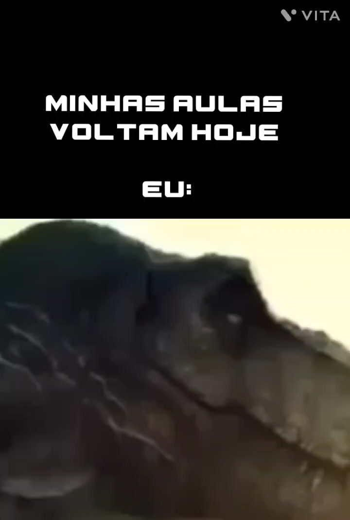 @frontman_dboas