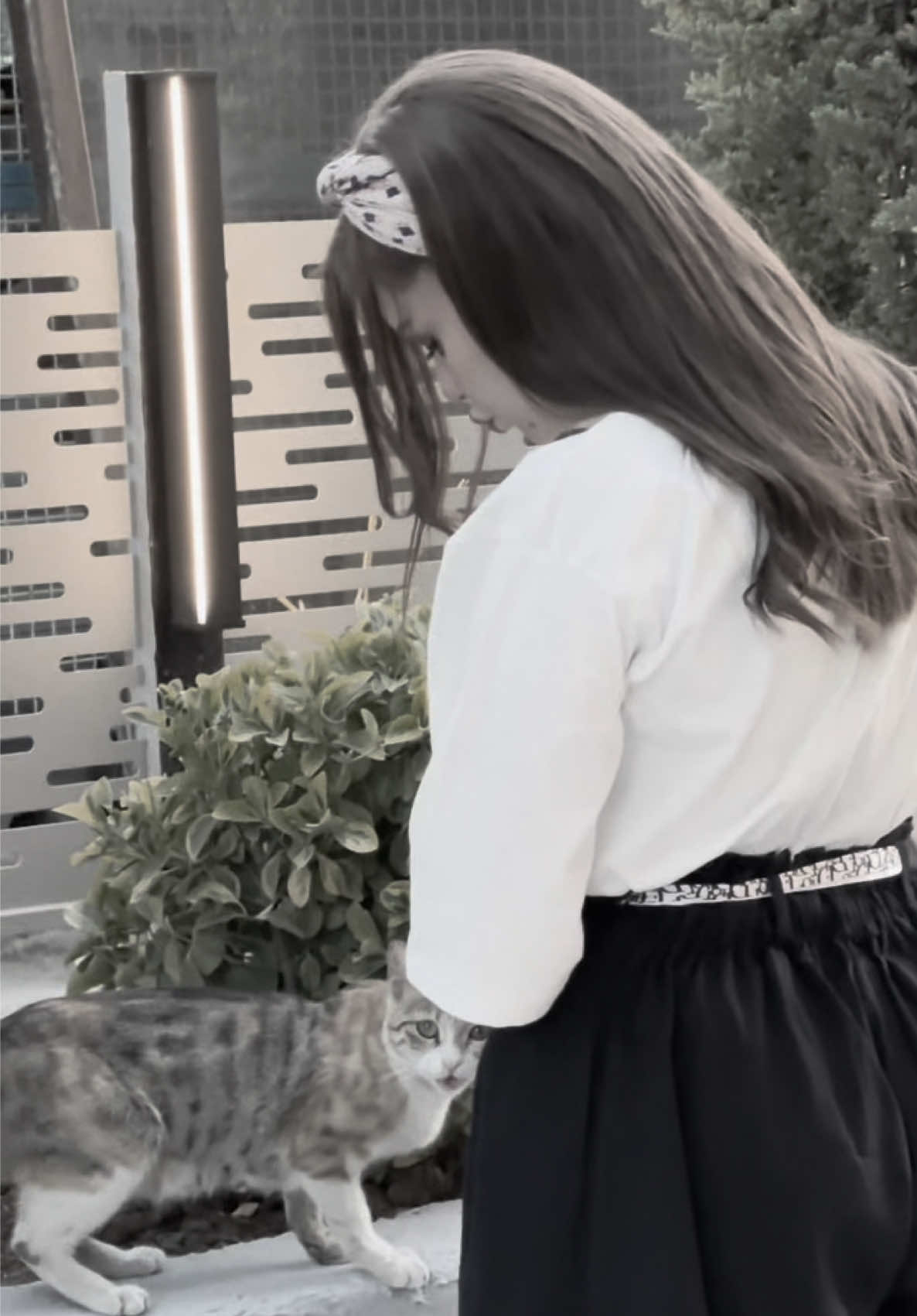 @Saba_music