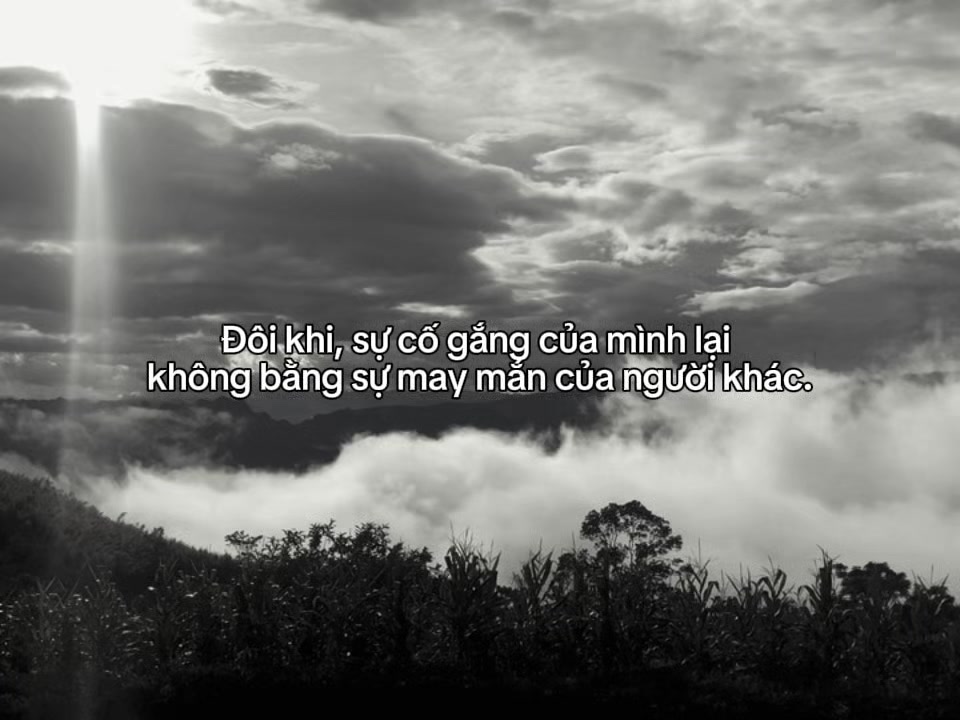 @tranh006