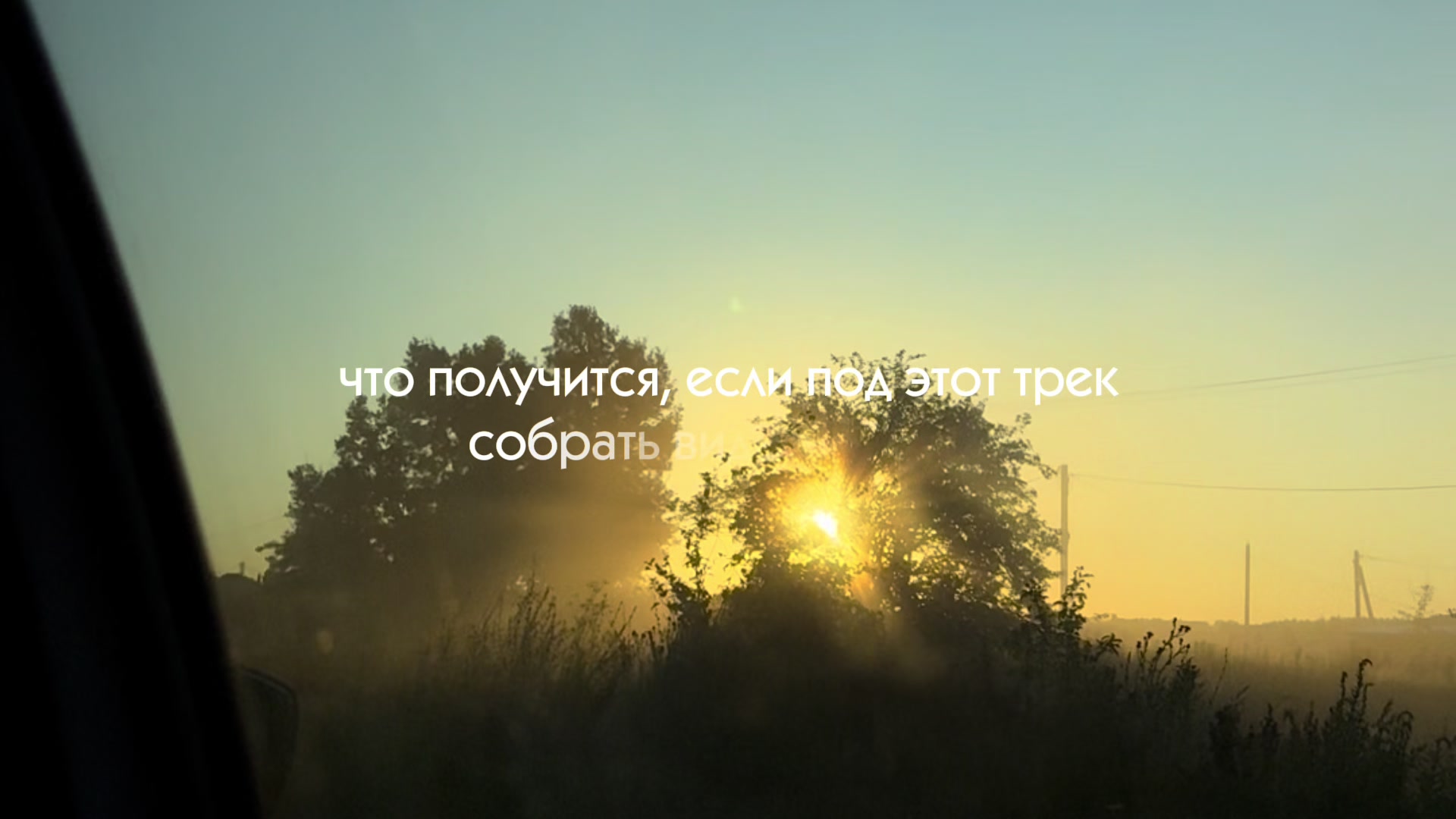 @polina