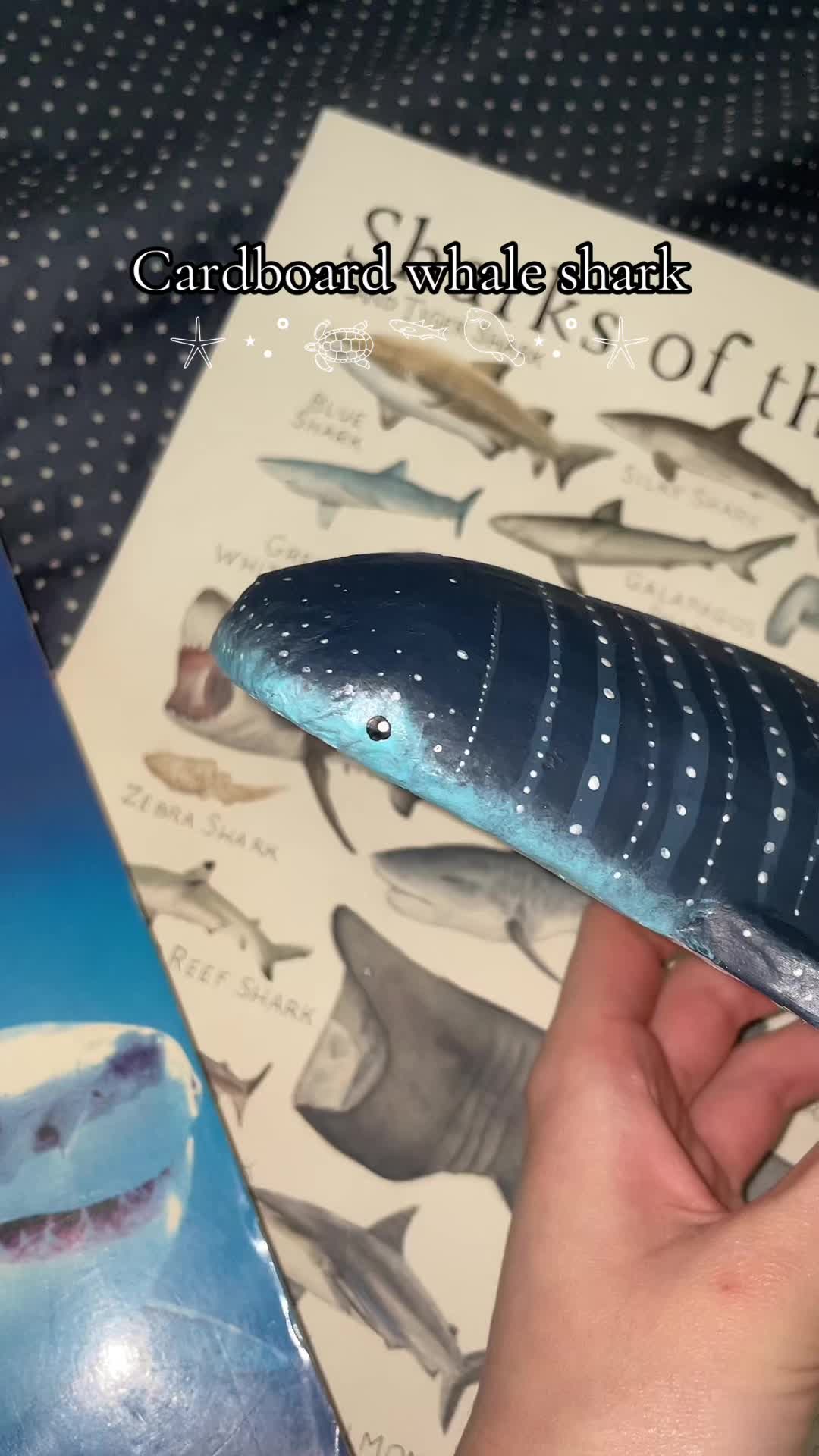 @𝐒𝐭✰𝐫𝐠𝐢𝐫𝐥
