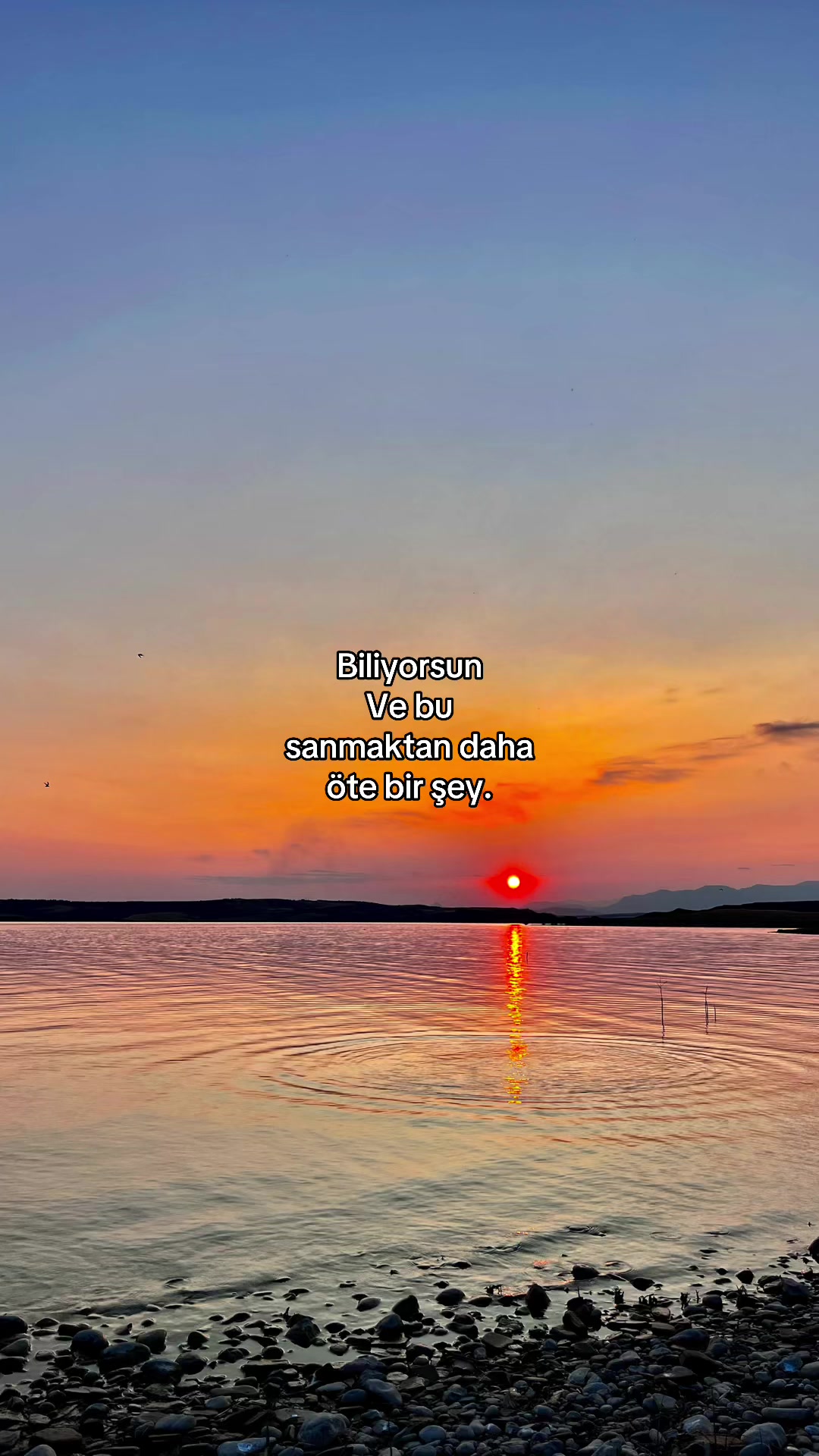@Elif