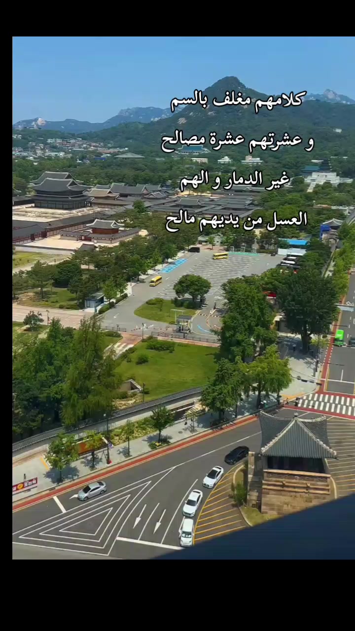 @هادية조용한 🇹🇳🇰🇷