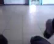 @qzywt