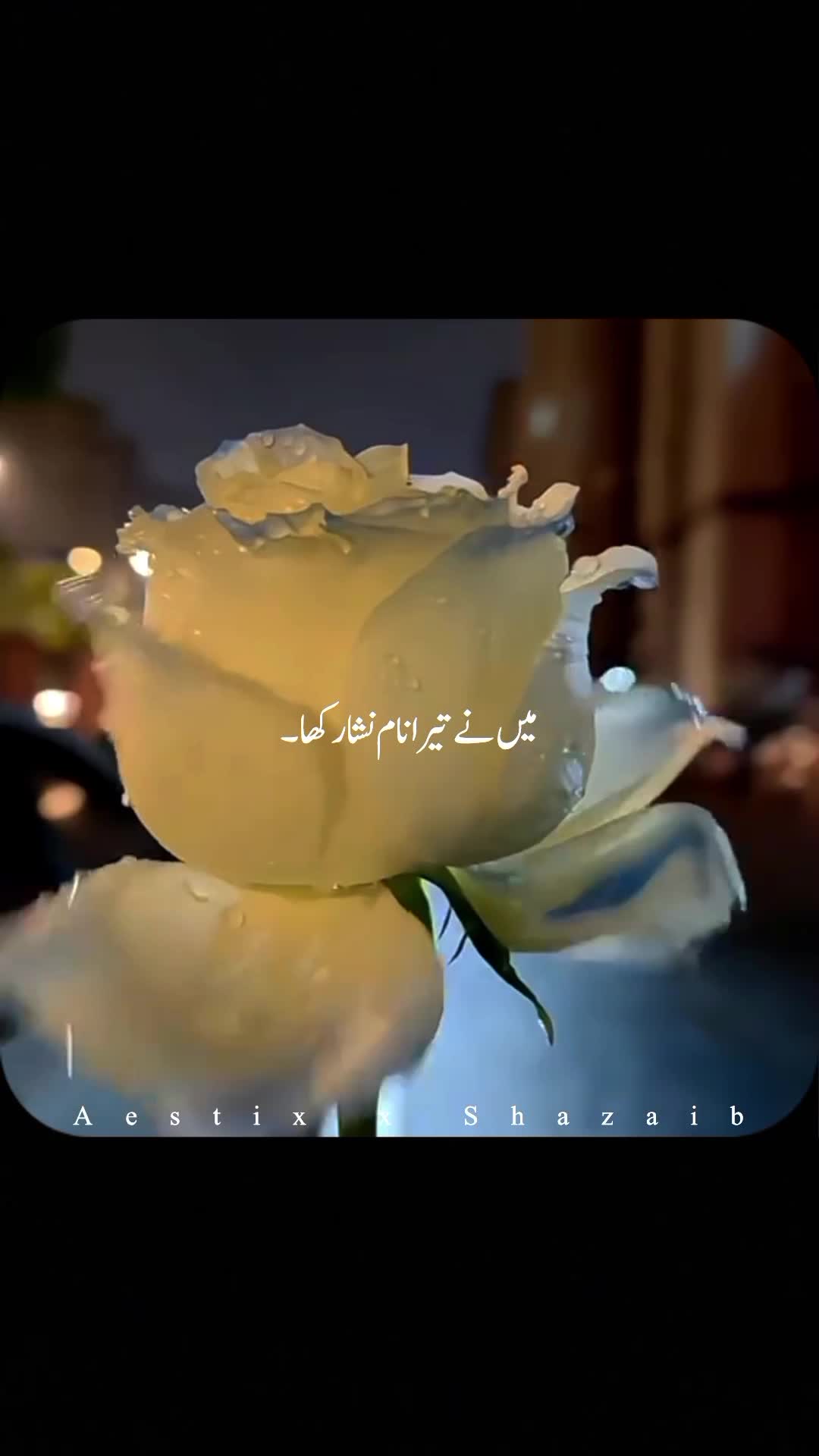@Aestix x Shazaib
