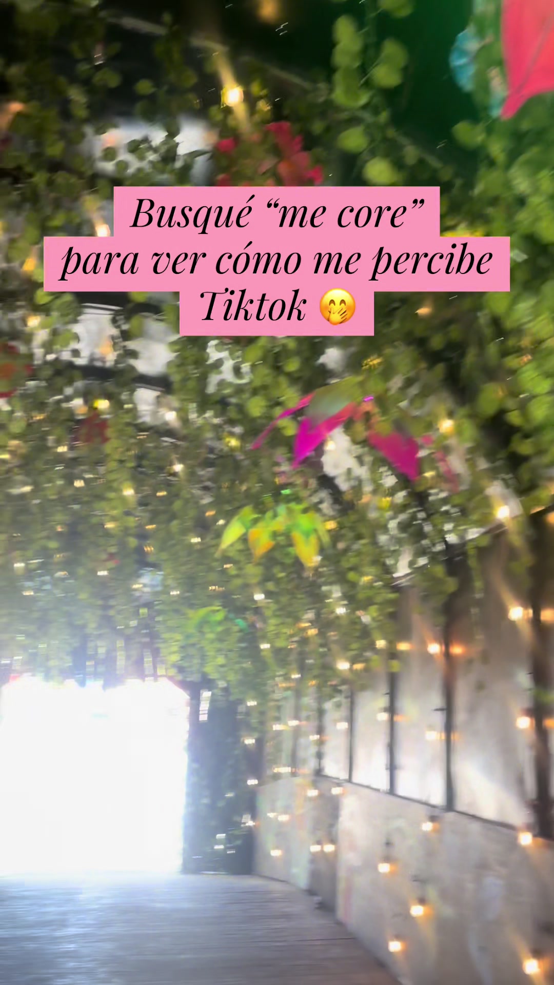 @La Paloma 🖤
