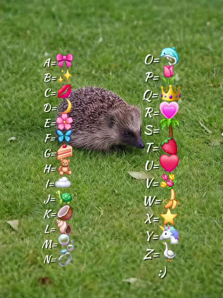 @Queen❤️👑