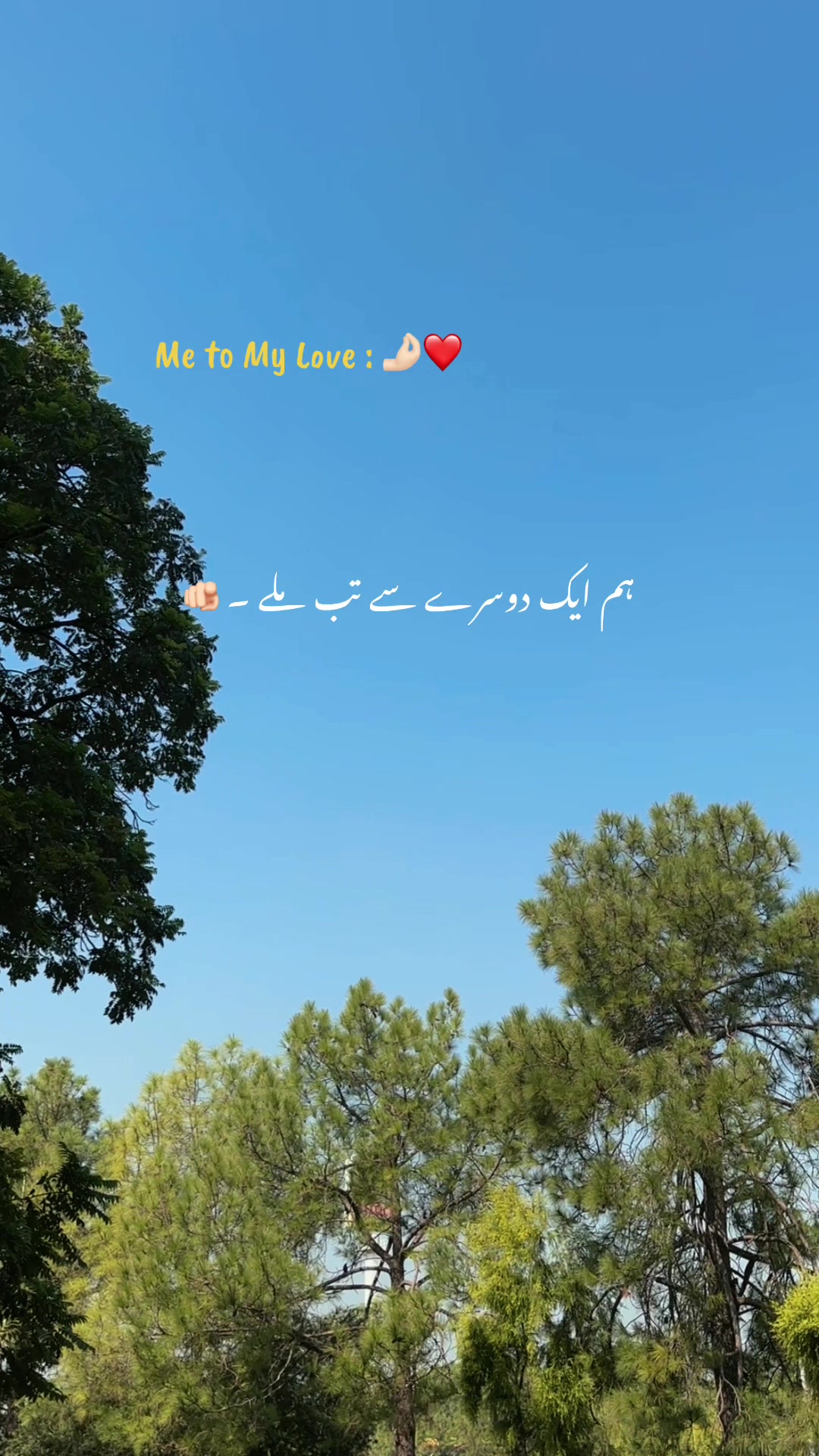 @𝘼𝙨𝙝𝙠-𝙚-𝘿𝙞𝙡 ❤️🩹🥀