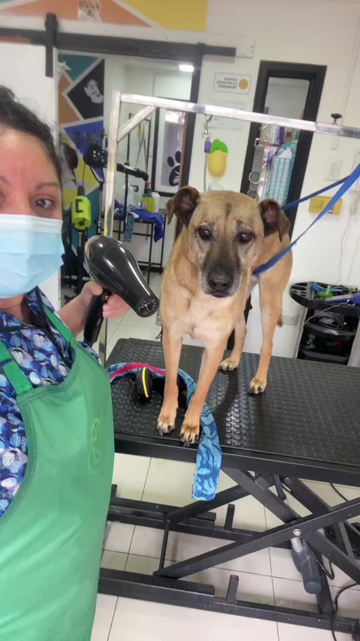 @Gran.kniche🐶