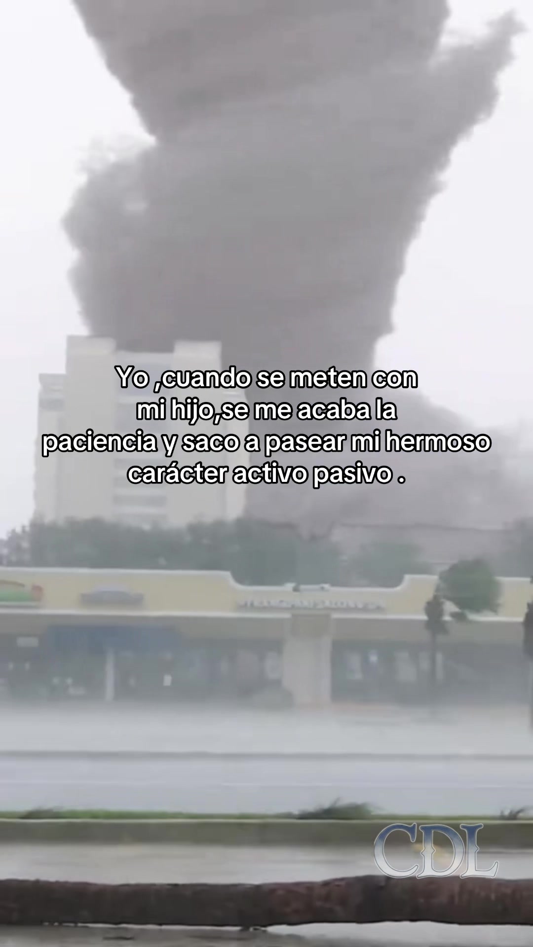 @padresehijos_2.