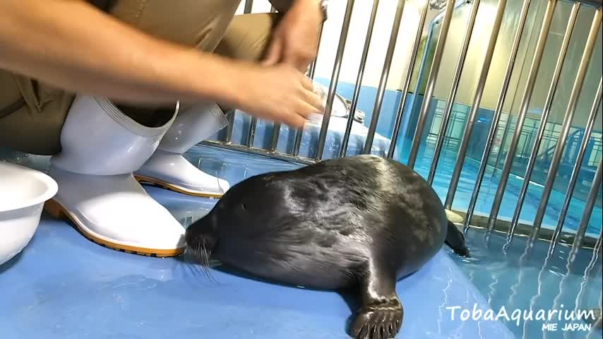 @Ray 🦭 :3