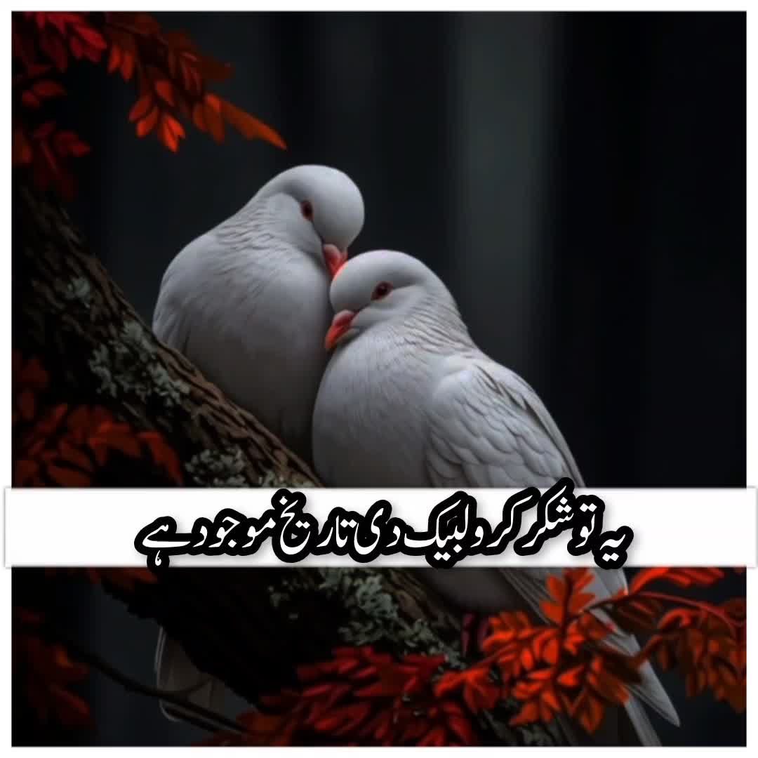 @☝️⭐༄گمنام مجاھد༄⭐💫