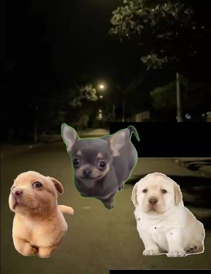 @๐ฏ๐พ๐๐๐ ๐ฒ๐พ๐๐๐