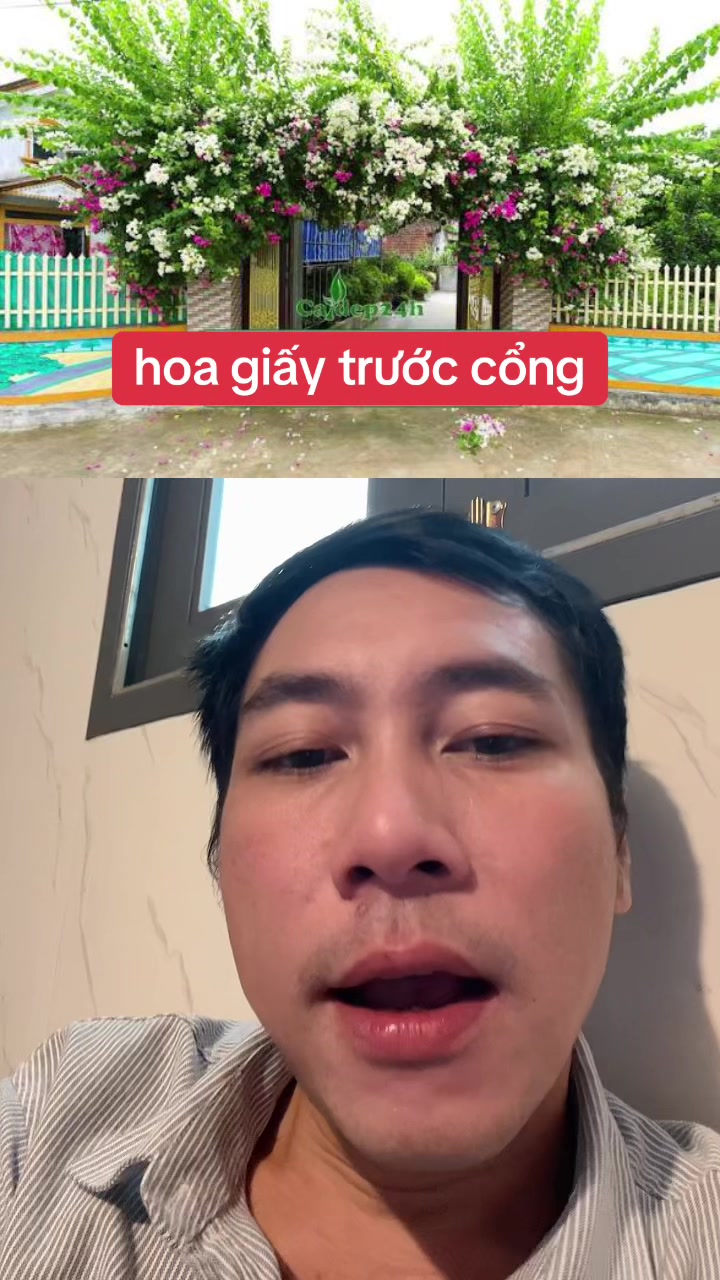 @Tuệ Nhãn ✅