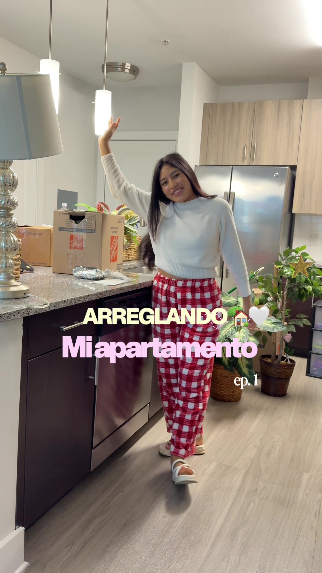 @Lisbeth Suasnabar | Mini vlogs