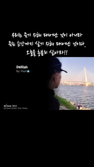 @꽃중년의 시선