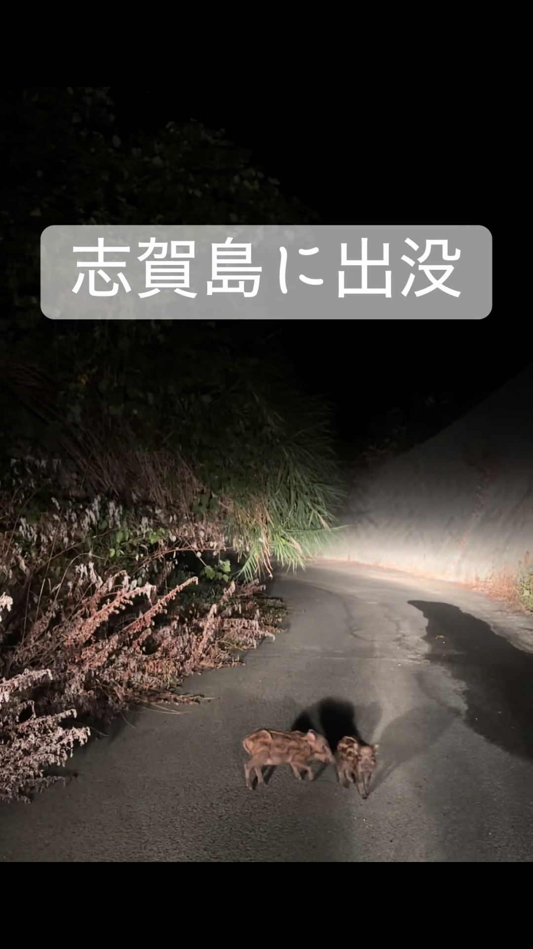 @志賀島