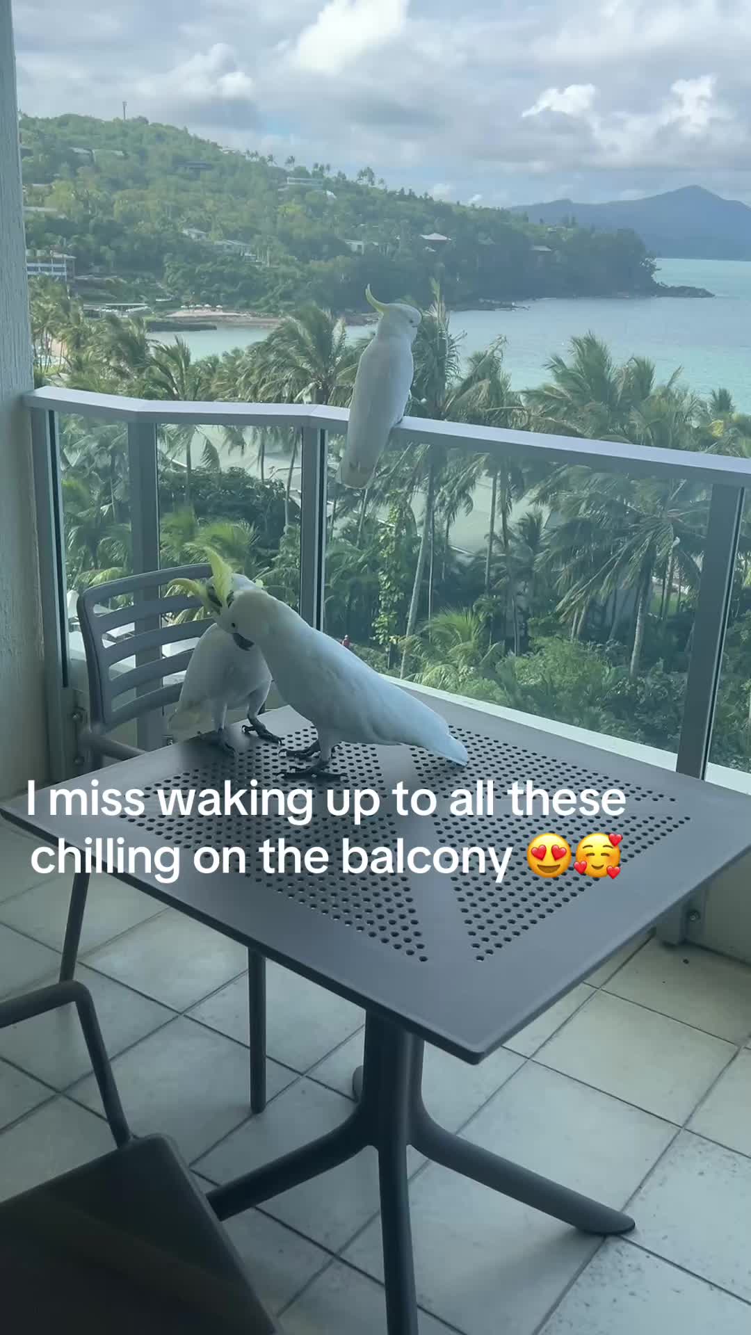@Gem 💎