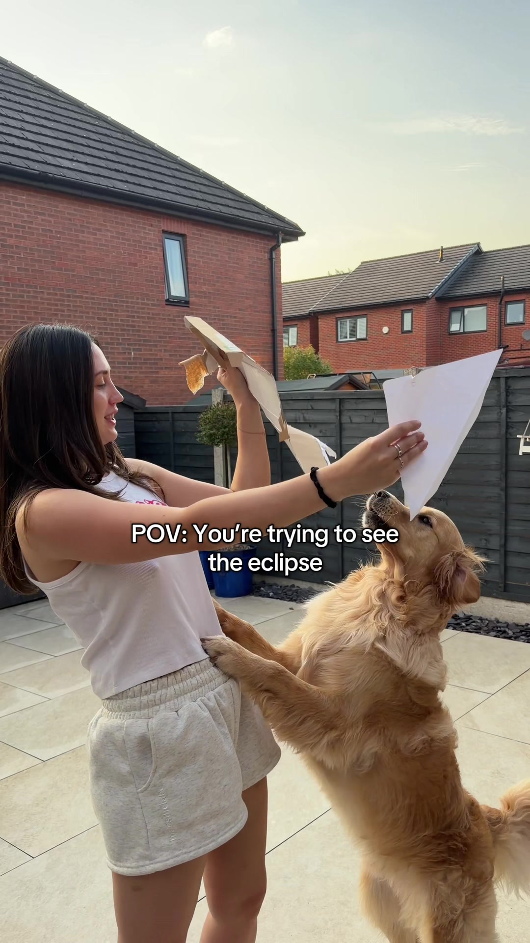 @Sheldon The Retriever