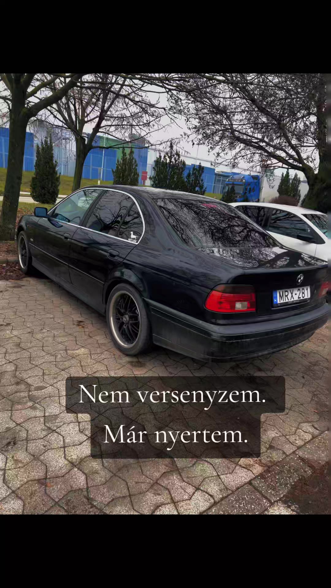 @Bimmergirl_e39