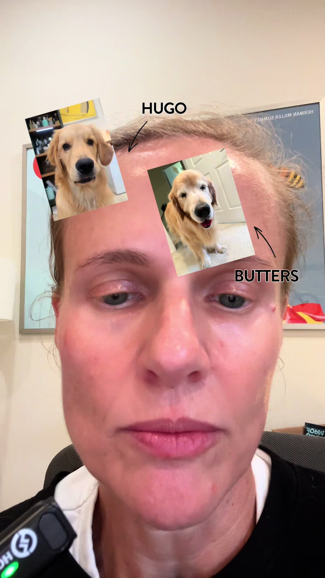 @Anna | Golden Sniffs