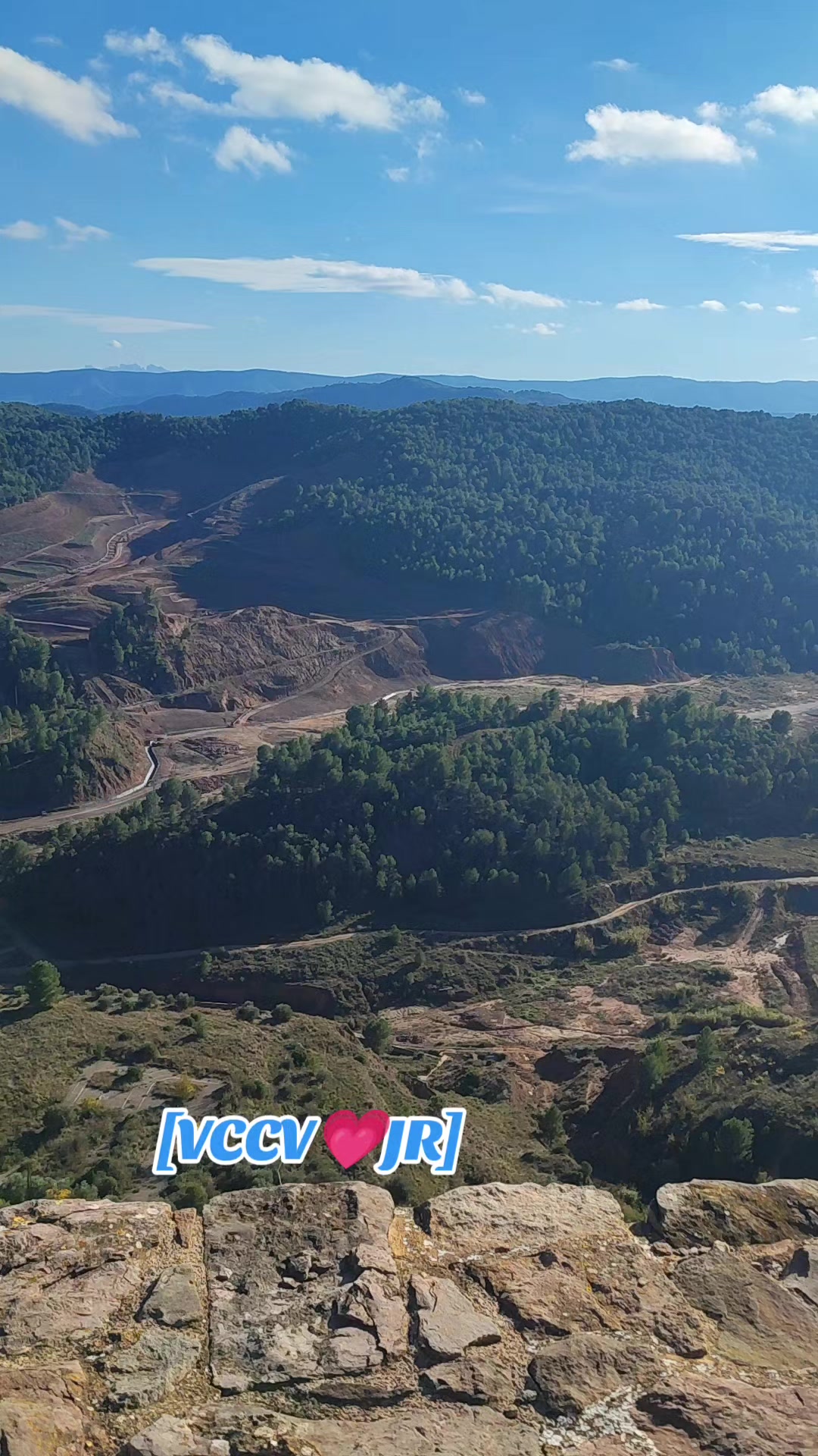 @vicenç Jr