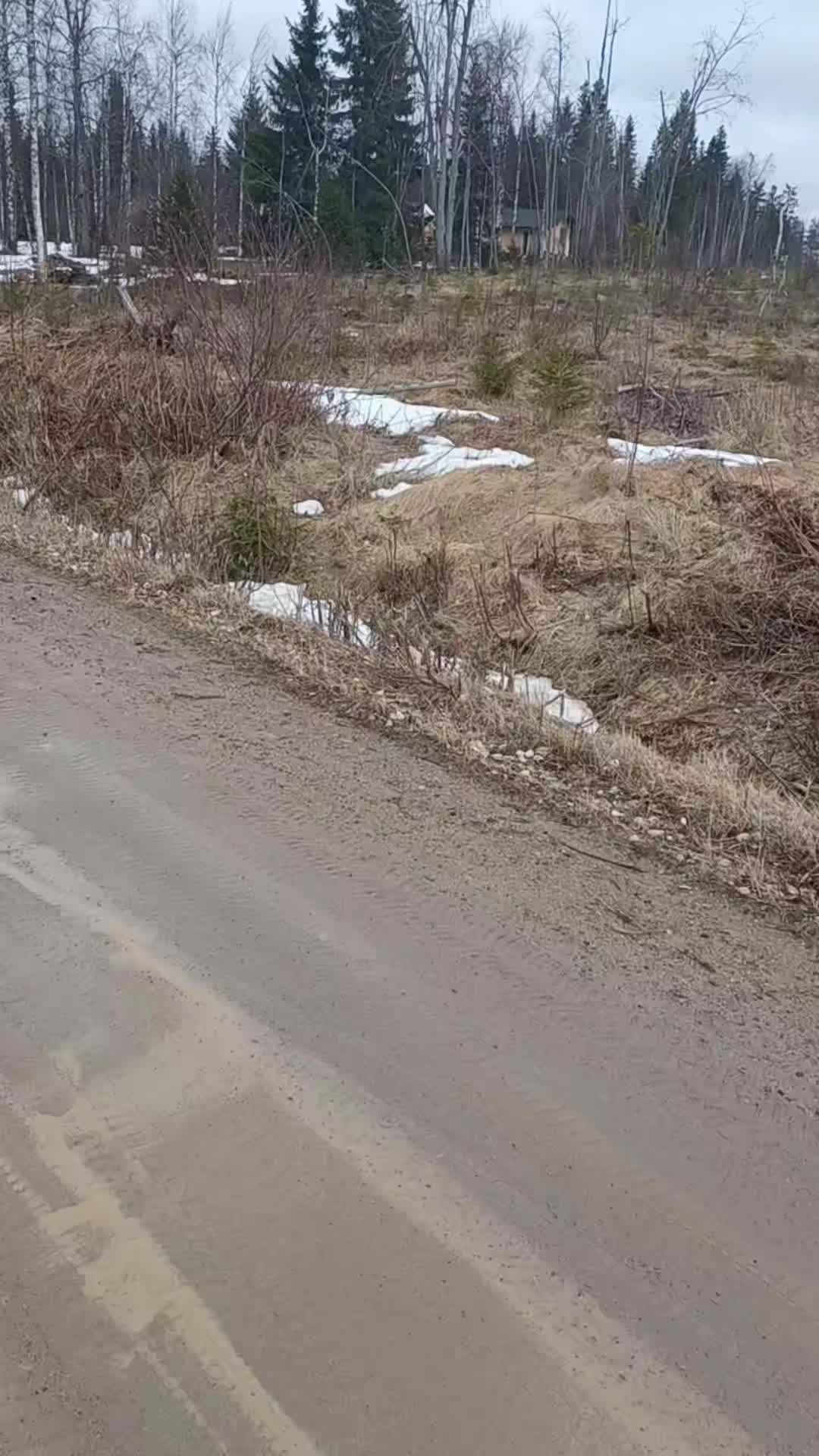 @Samuli🇫🇮🤑✝️⚜️