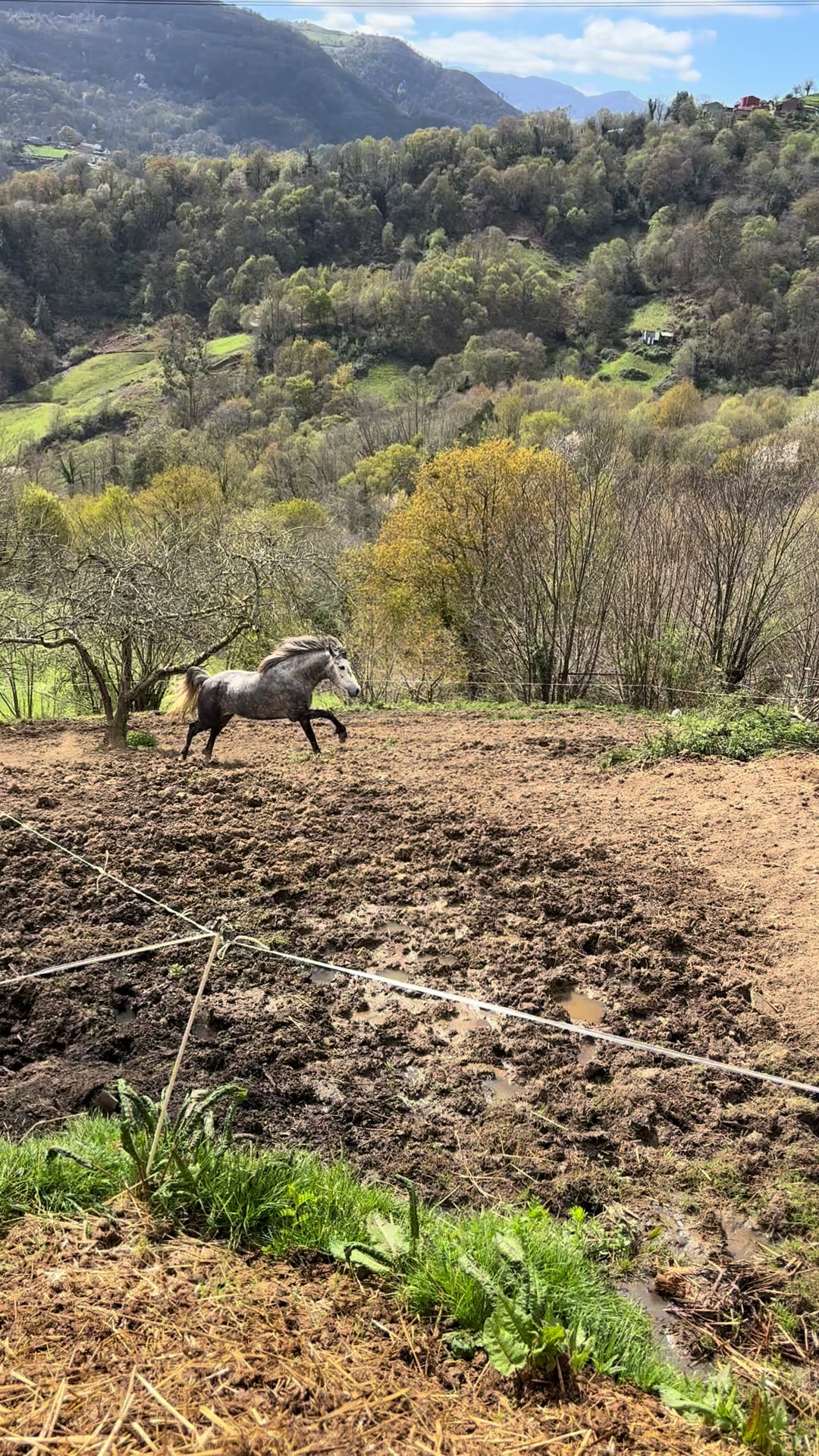 @Santi De La Grana