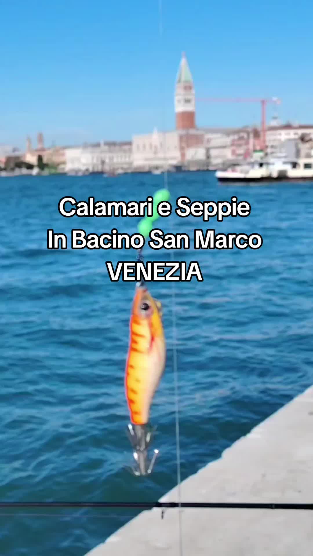 @🎣 maurizio 🇮🇹