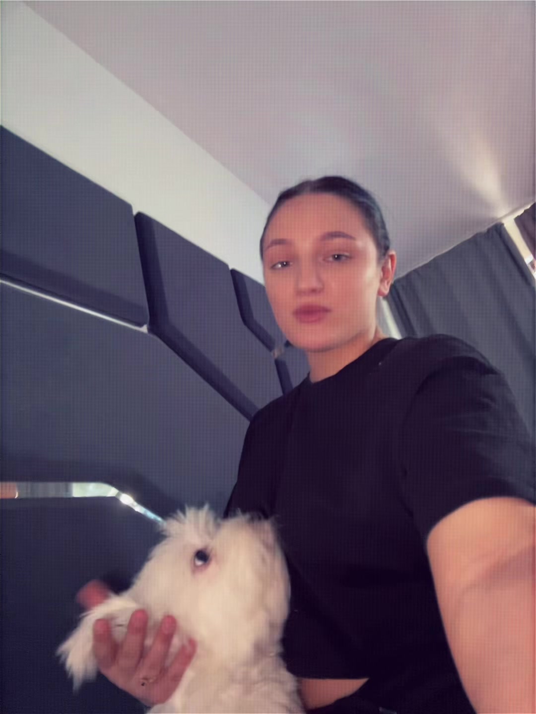@Denisuc🖤
