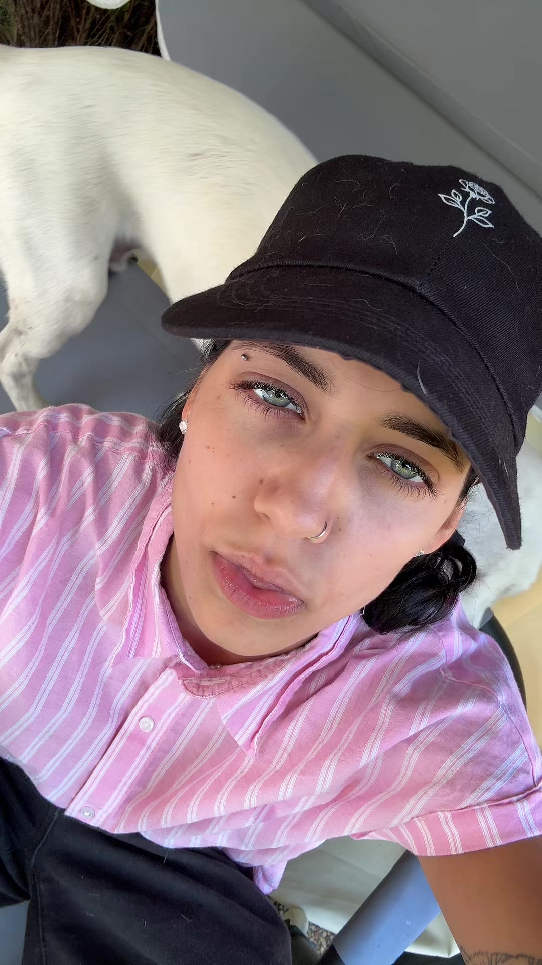 @siana