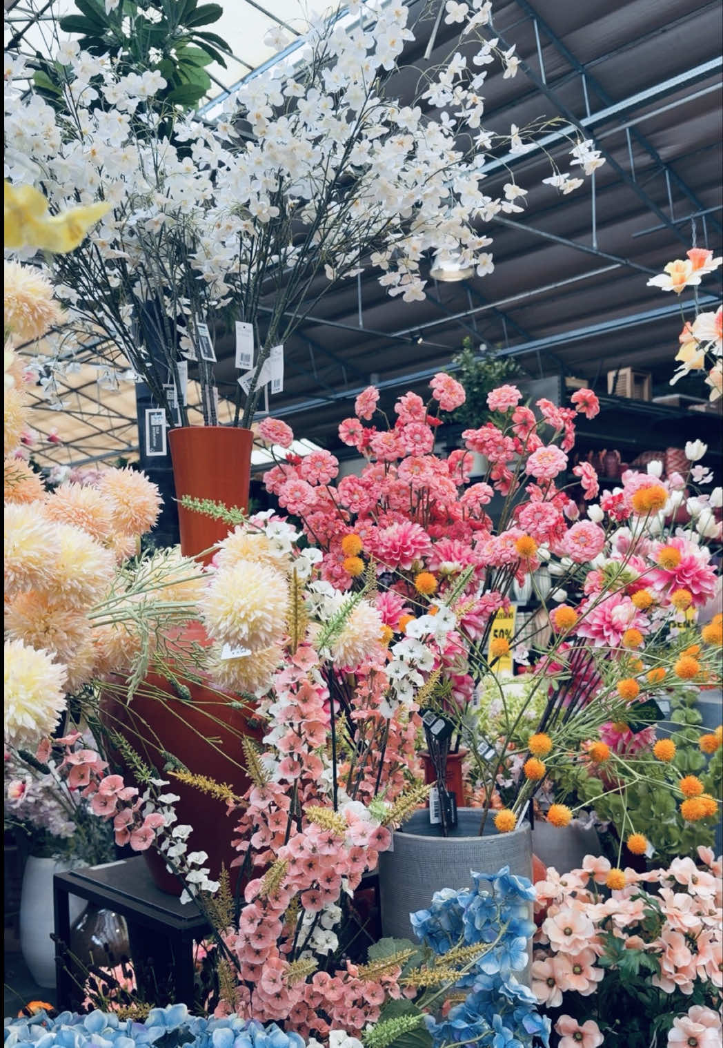 @𝐁𝐫𝐞𝐠𝐣𝐞 𝐱