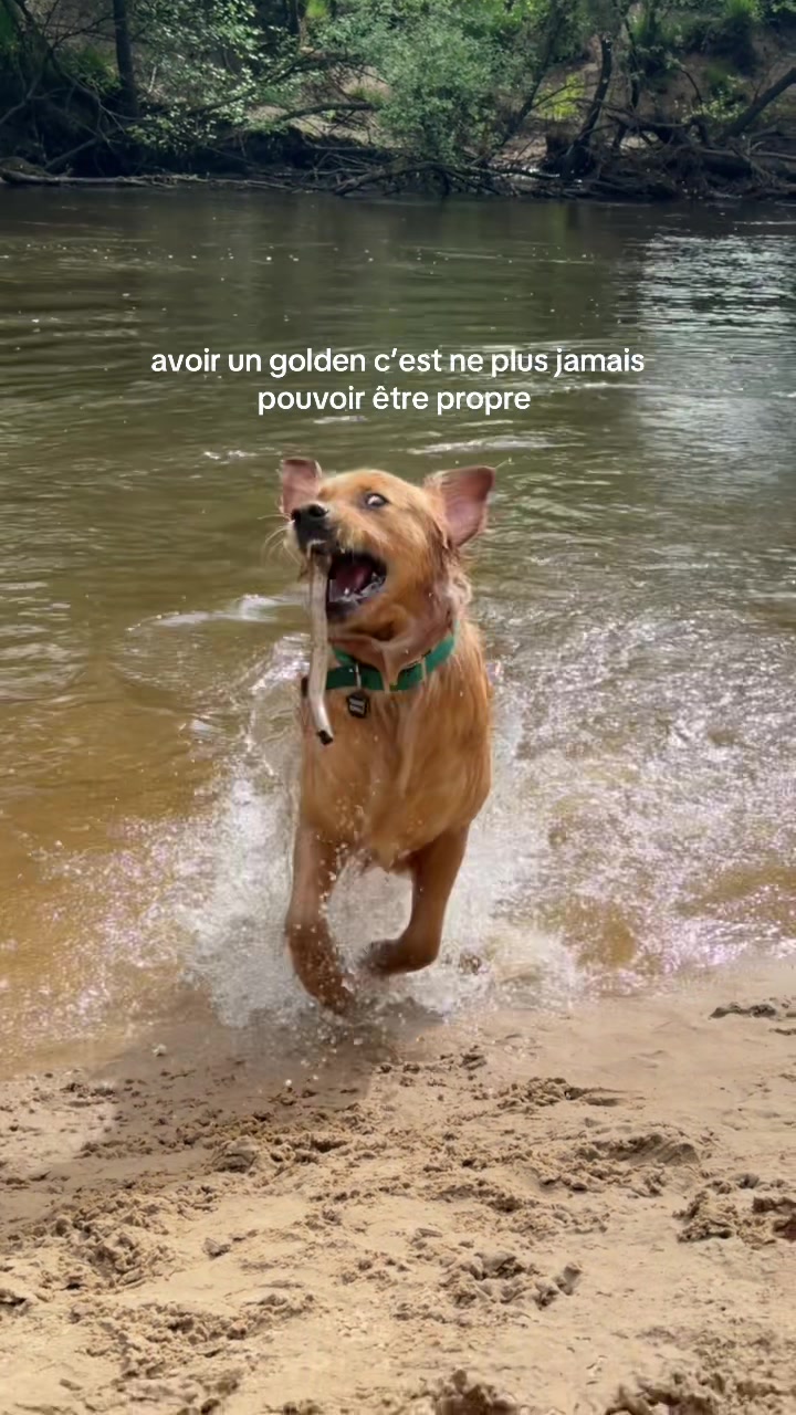 @Léane