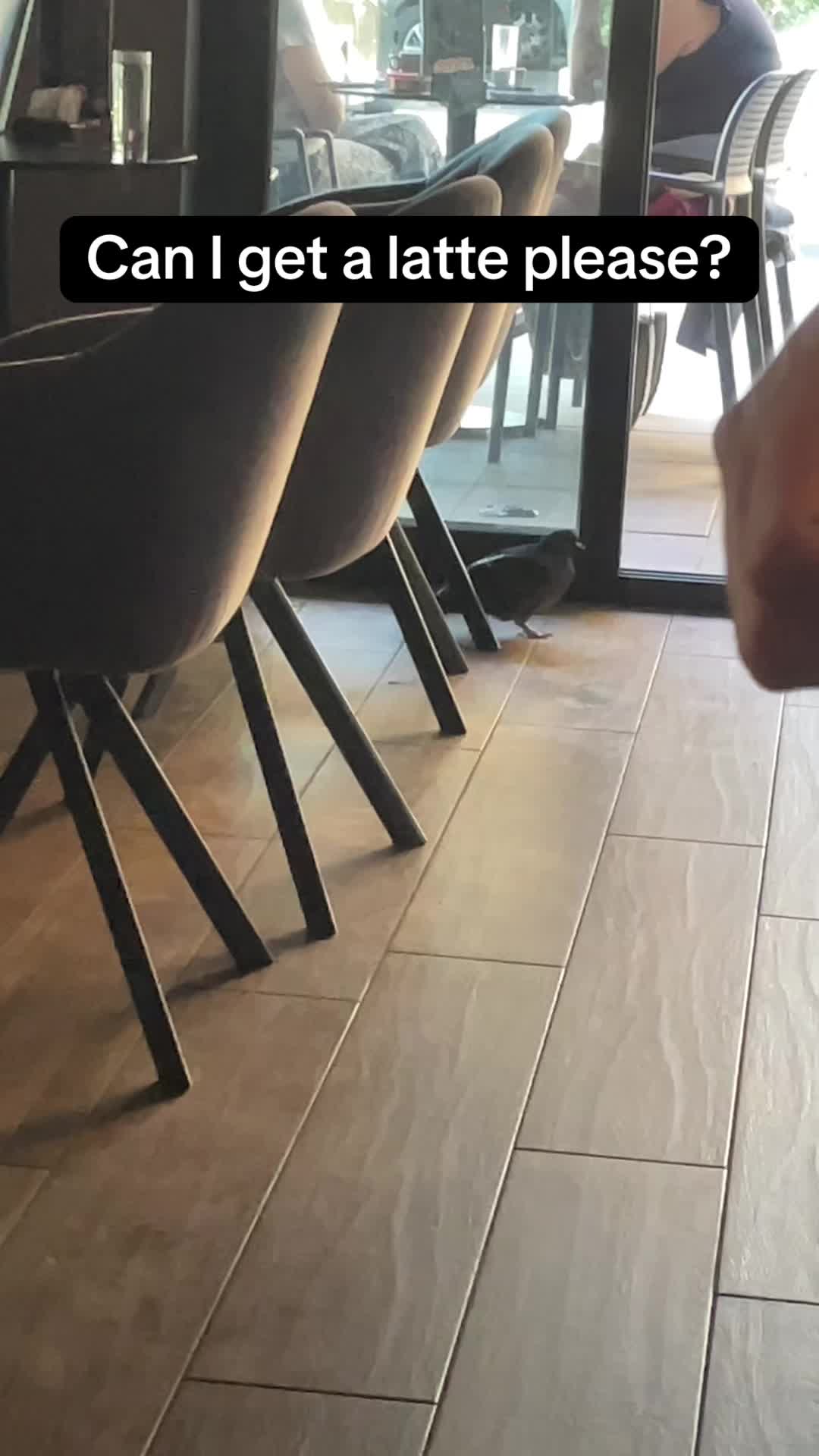@saraaro0206