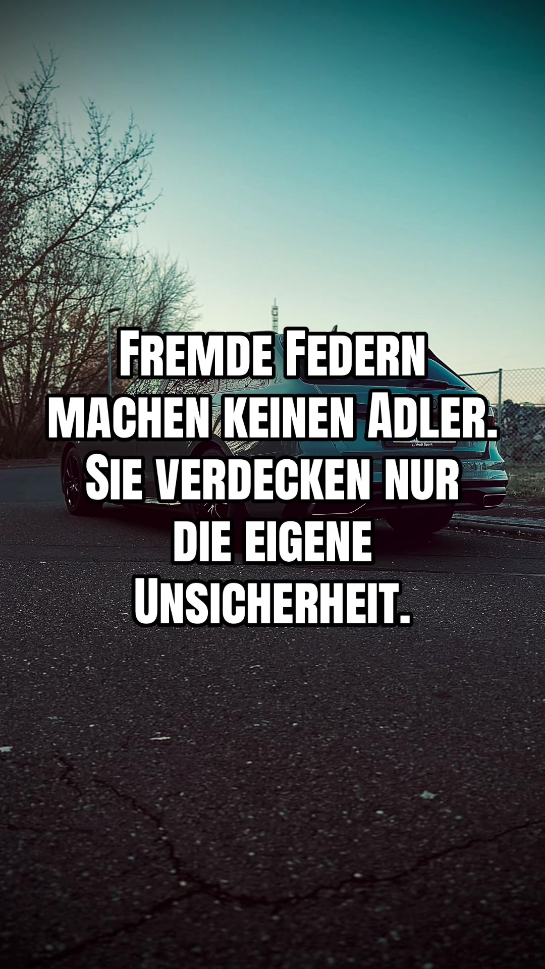 @au81