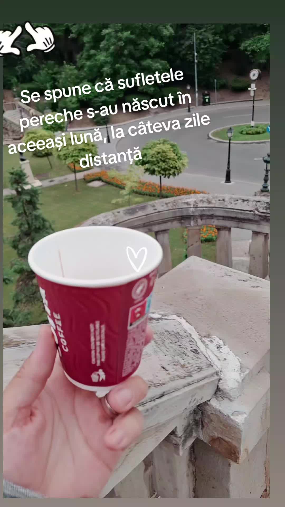 @Alexandra Onofrei