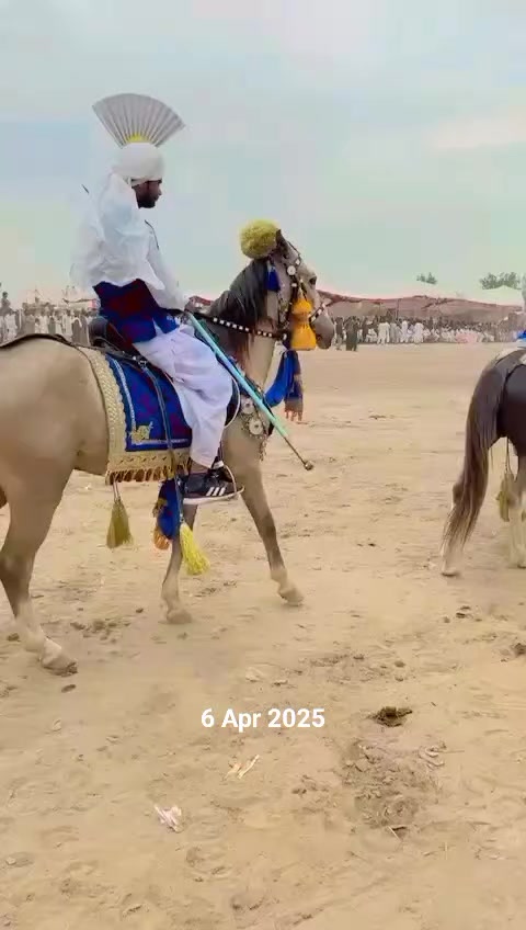 @Malik Amir Awan