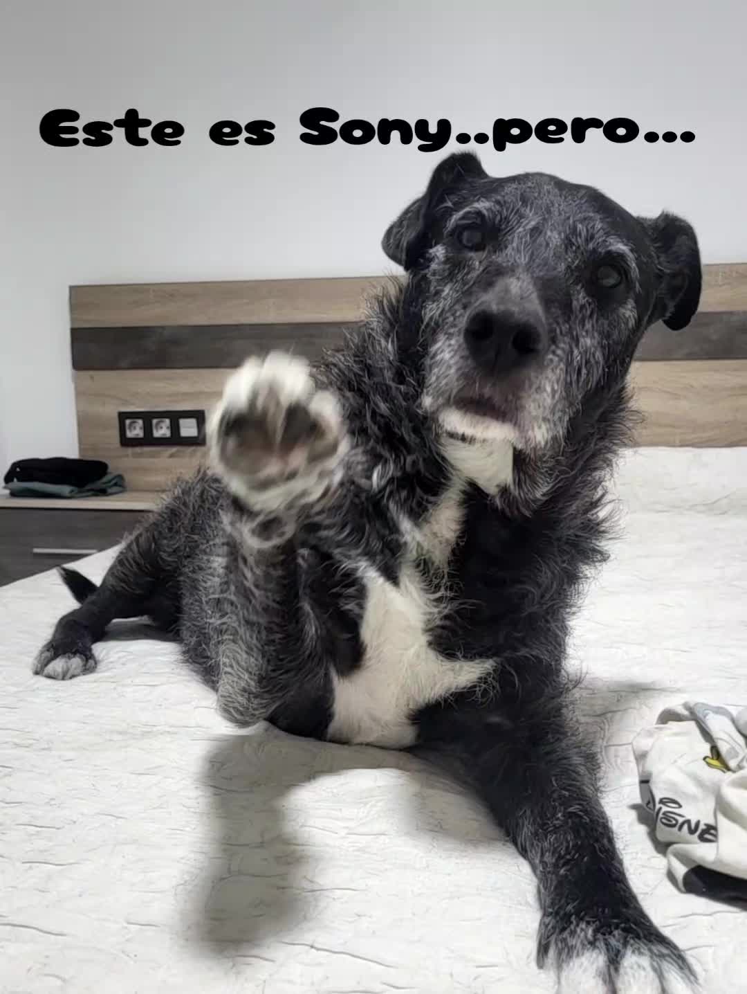 @Sandra Berm&uacute;dez Su&aacute;rez
