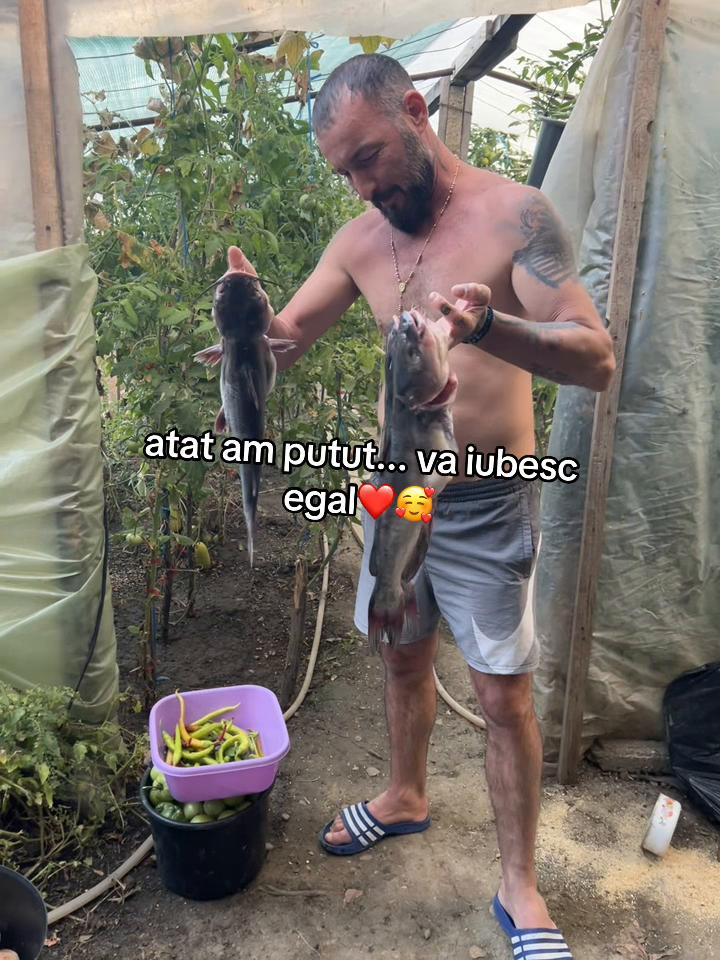 @RobertPredoiu