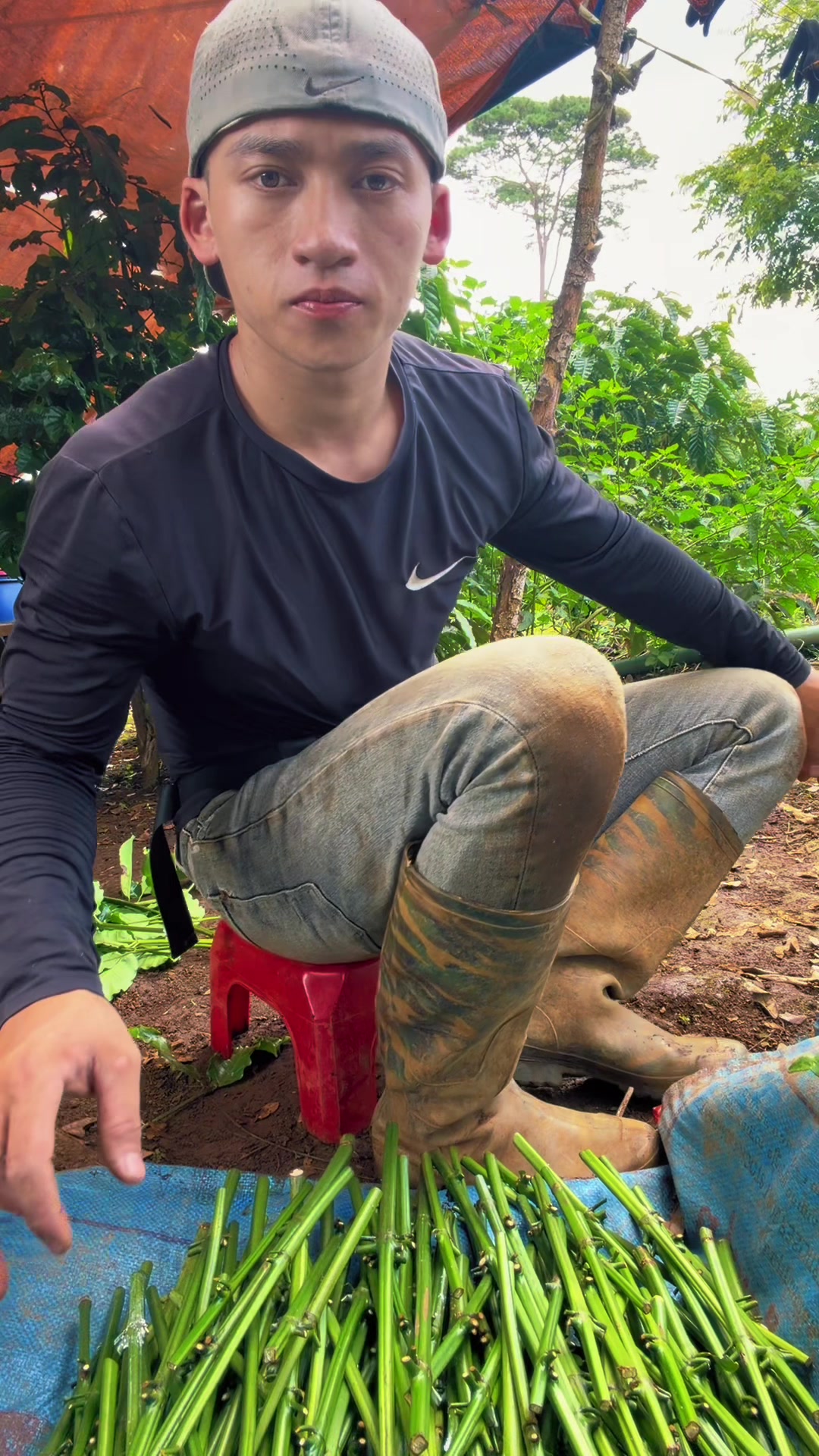 @Trần Tân