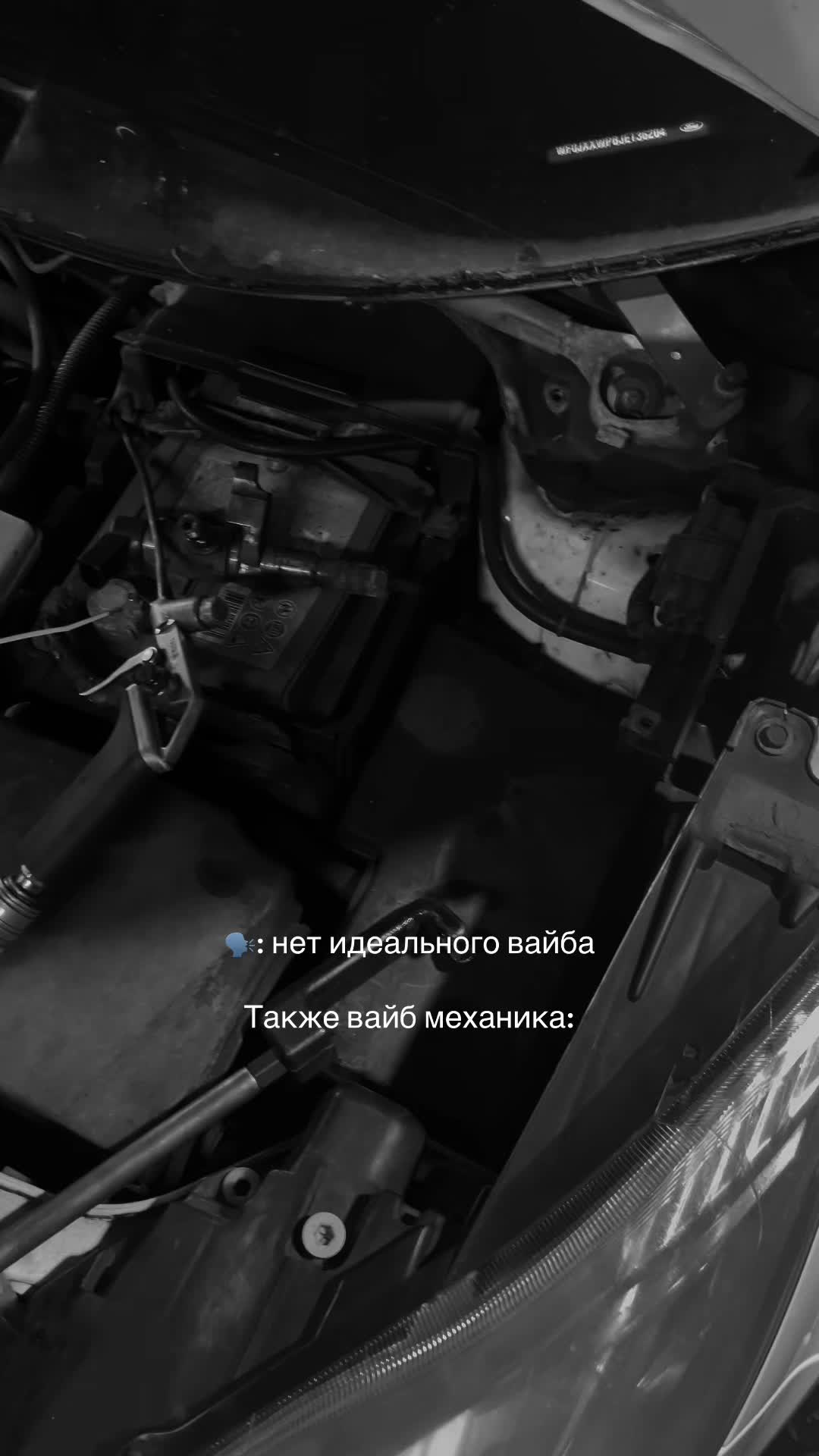 @yarinski🐻🖤