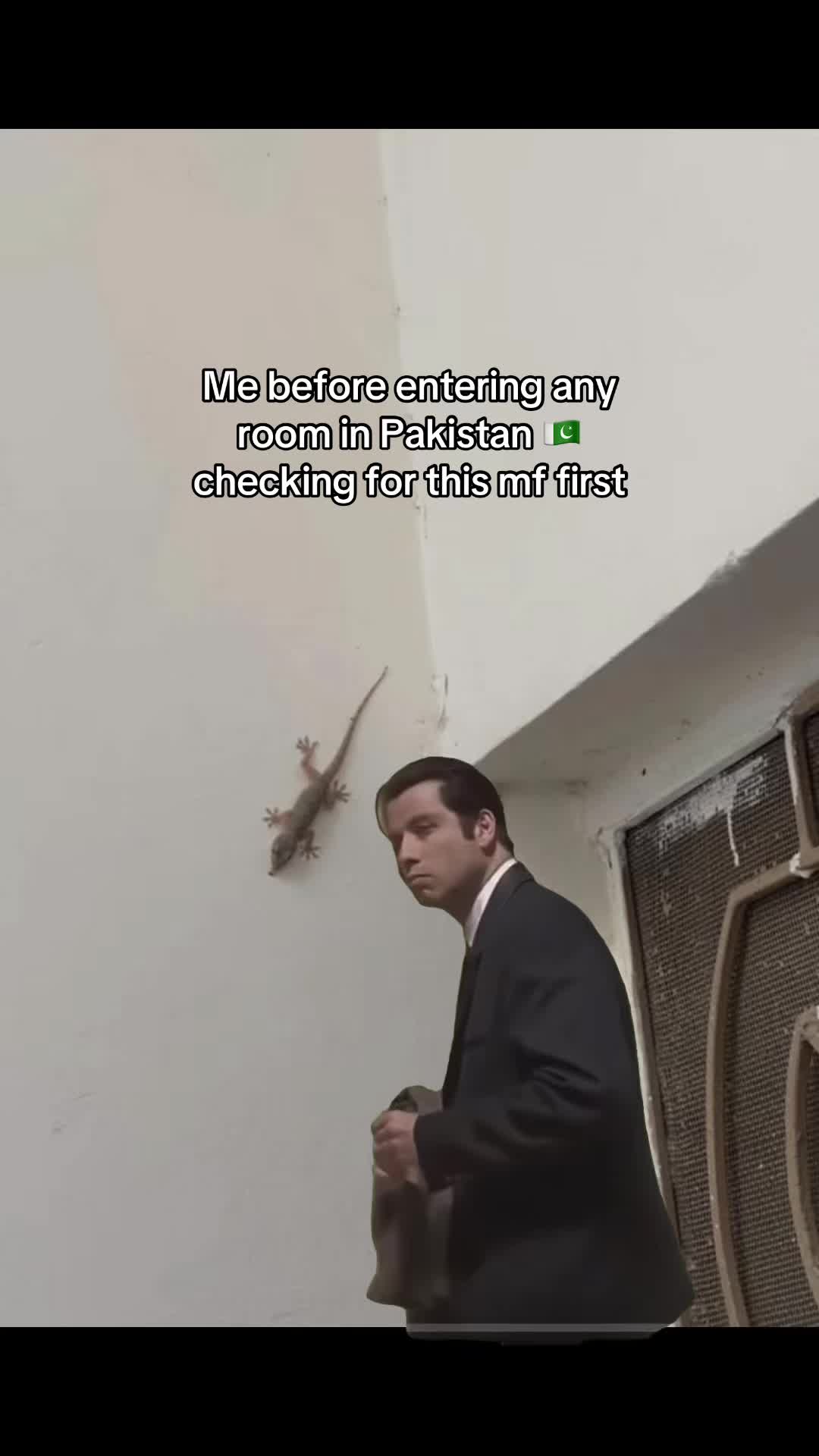 @ᕼᗰᘔ®️