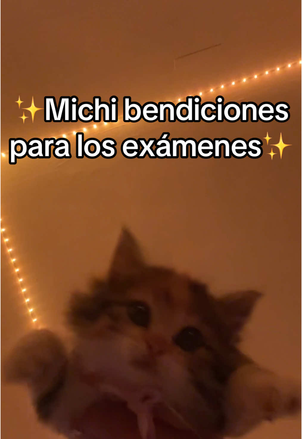 @Nay