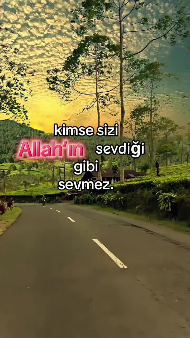 @azaelya