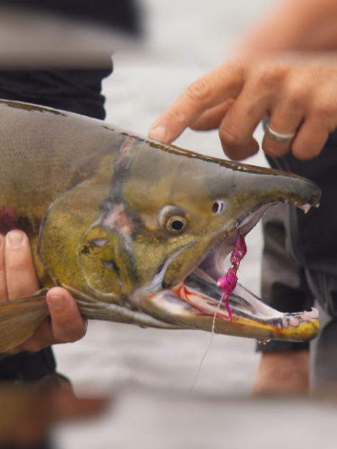 @Fishing TV